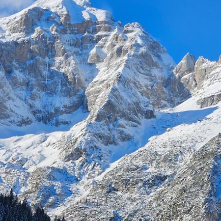 Romantic Chalet Dolomiti 瓦尔迪佐多 外观 照片